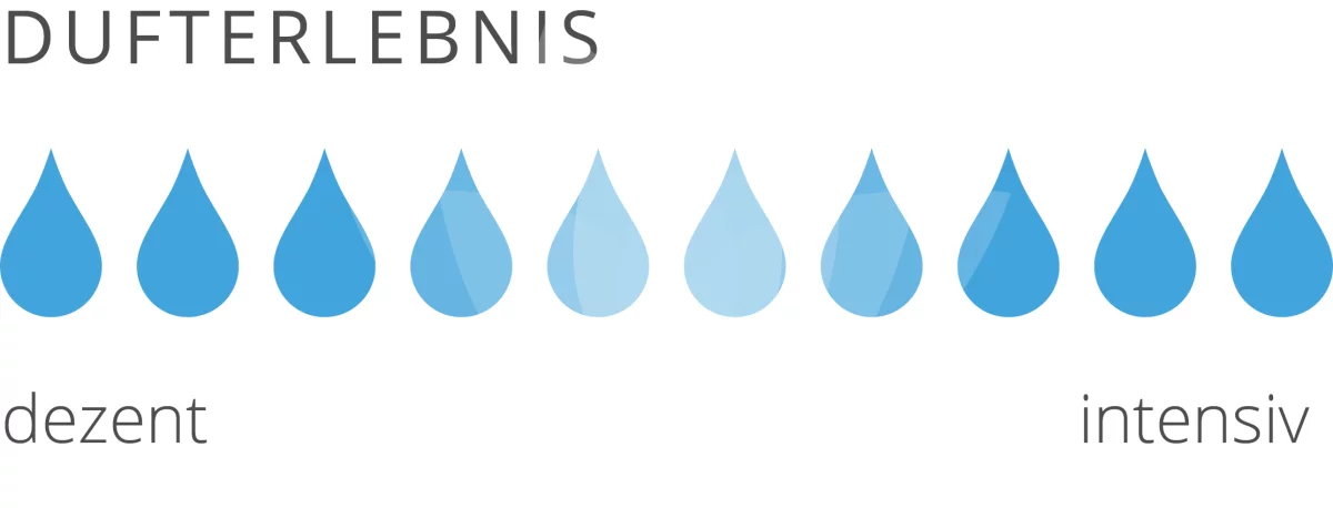 Lotus Clean SpaParfum KiBa - Kirsch Banane