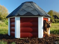 Farbton des Anstrichs der Hundekota