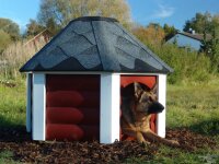 Farbton des Anstrichs (zweifach) der Hundekota