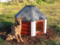 Farbton des Anstrichs (zweifach) der Hundekota