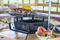 Grillrost mit Schwenkarm für Polar Grilli