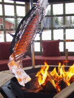 Grillrost mit Schwenkarm für Polar Grilli