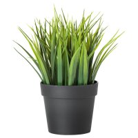 Topfpflanze künstlich (Gras)