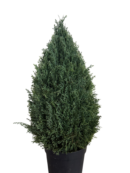 Zypresse klein künstlich (60cm)