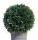 Koniferen Ball künstlich