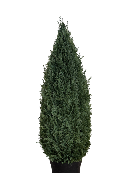 Zypresse groß künstlich (90cm)