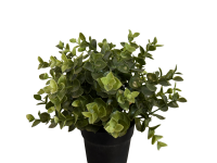 Topfpflanze künstlich (Eukalyptus15cm)